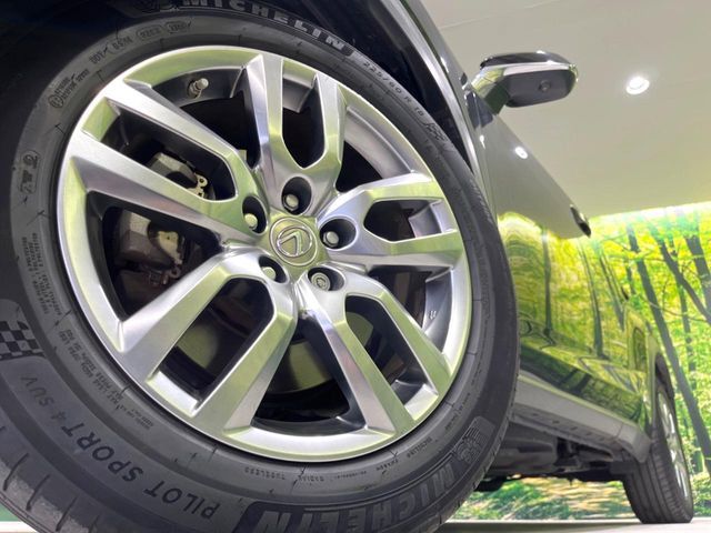 TOYOTA LEXUS NX300h 2015