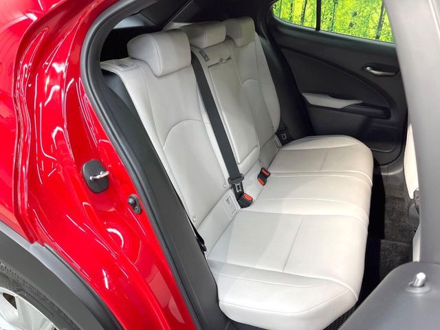 TOYOTA LEXUS UX250h 2019