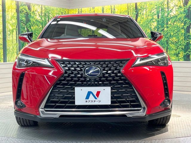 TOYOTA LEXUS UX250h 2019