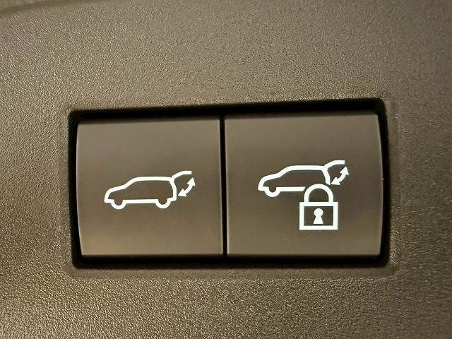 TOYOTA LANDCRUISER 250 2024