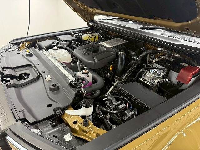 TOYOTA LANDCRUISER 250 2024