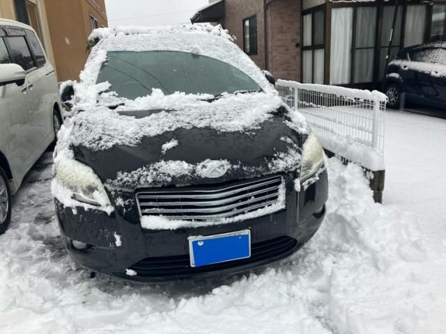 TOYOTA MARK X ZIO 4WD 2008