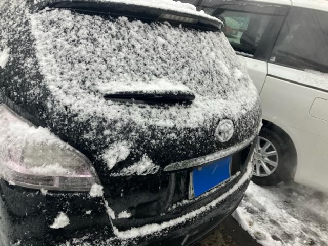 TOYOTA MARK X ZIO 4WD 2008