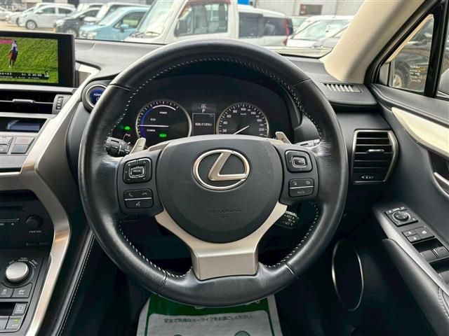 TOYOTA LEXUS NX300h 2016