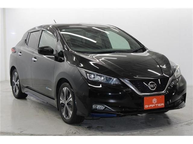 NISSAN LEAF 2018