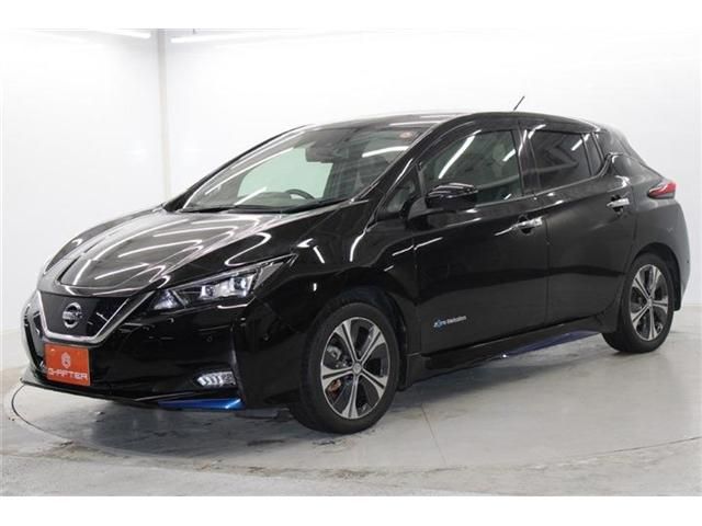 NISSAN LEAF 2018