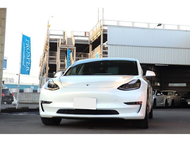 TESLA TESLA MODEL 3 2019