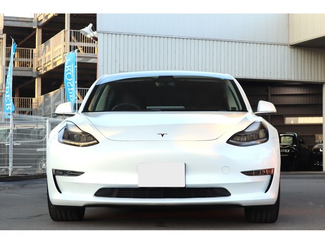 TESLA TESLA MODEL 3 2019