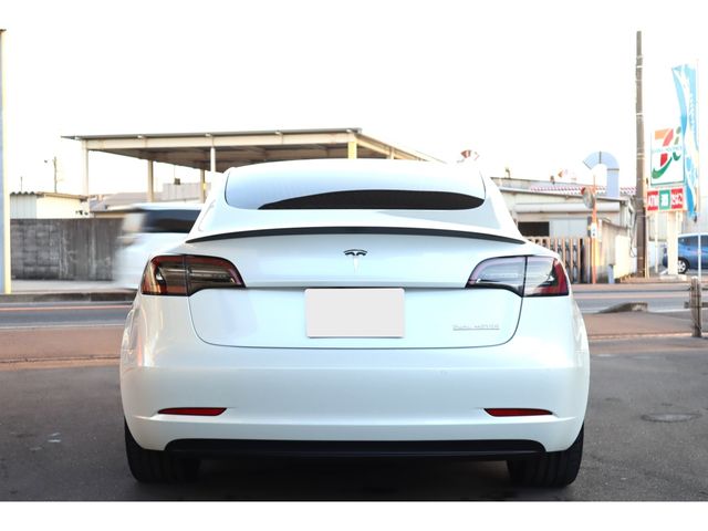 TESLA TESLA MODEL 3 2019