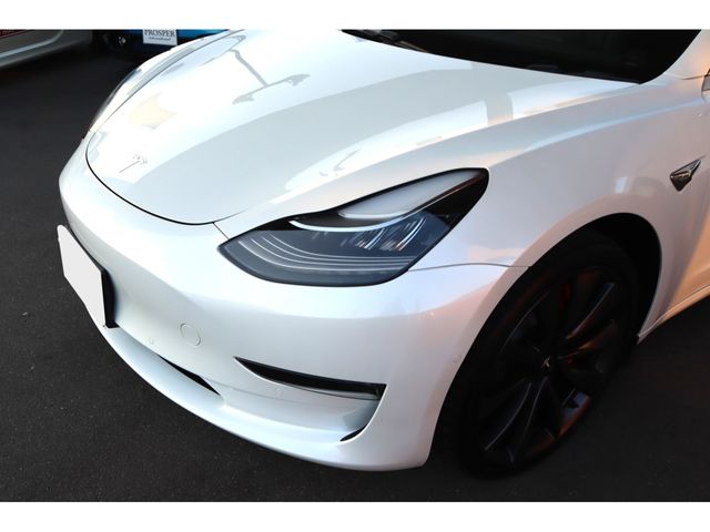 TESLA TESLA MODEL 3 2019