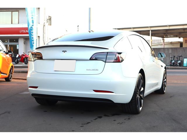 TESLA TESLA MODEL 3 2019