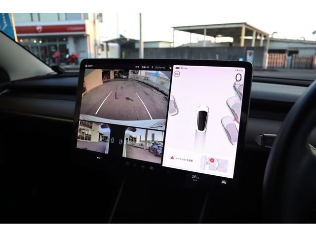 TESLA TESLA MODEL 3 2019