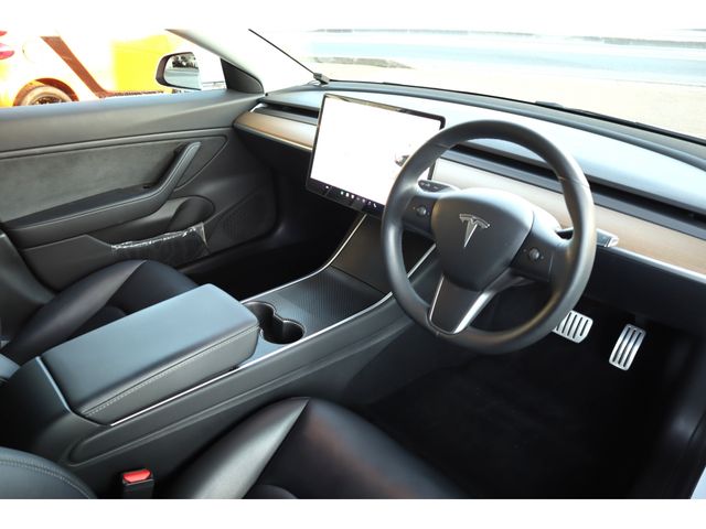 TESLA TESLA MODEL 3 2019