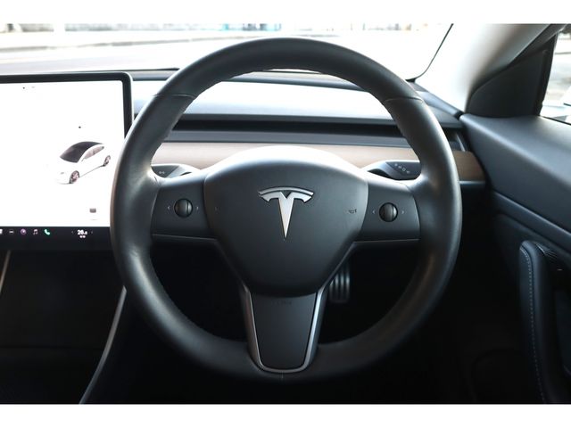 TESLA TESLA MODEL 3 2019