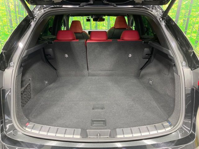 TOYOTA LEXUS NX350h 2023