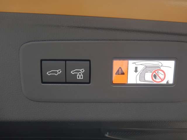 TOYOTA LANDCRUISER 250 2024