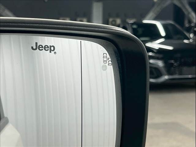 JEEP JEEP Renegade 2019