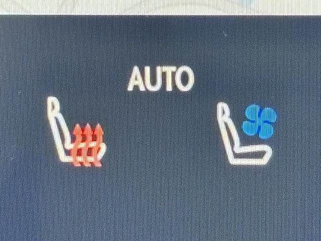 TOYOTA LEXUS NX350h AWD 2023