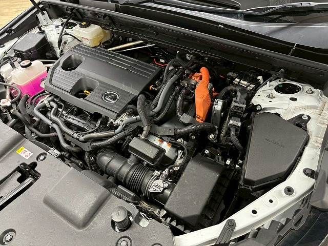 TOYOTA LEXUS NX350h AWD 2023