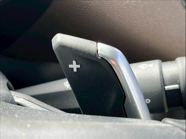 CITROEN CITROEN DS3 CROSSBACK 2020