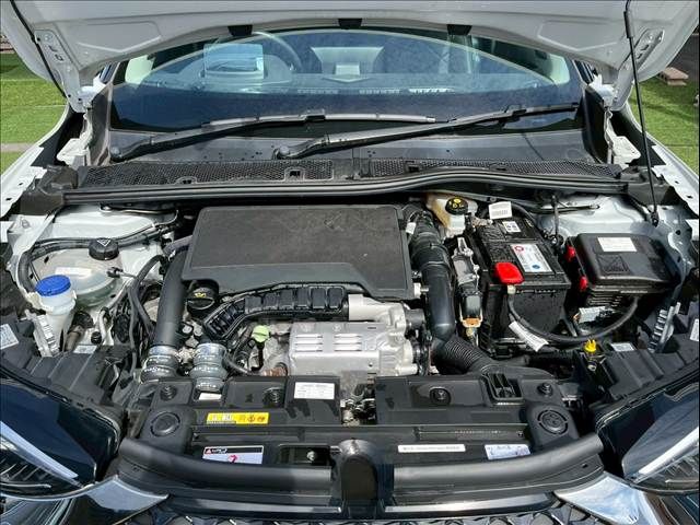 CITROEN CITROEN DS3 CROSSBACK 2020