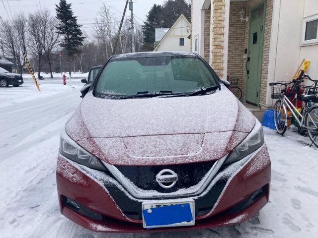 NISSAN LEAF 2019