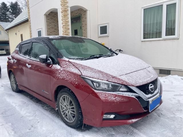 NISSAN LEAF 2019