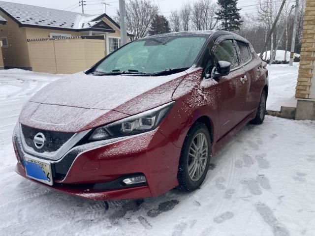 NISSAN LEAF 2019
