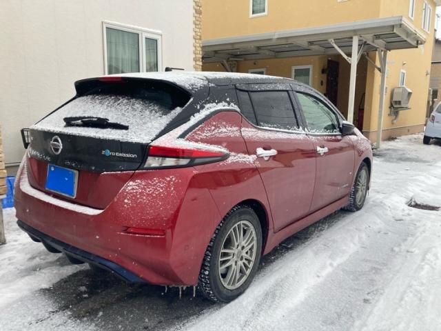 NISSAN LEAF 2019