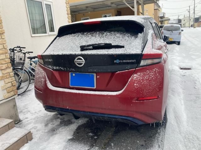 NISSAN LEAF 2019