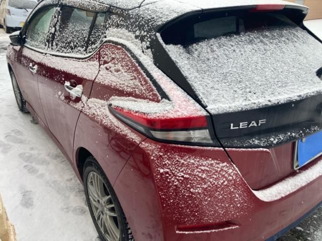 NISSAN LEAF 2019