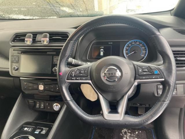 NISSAN LEAF 2019