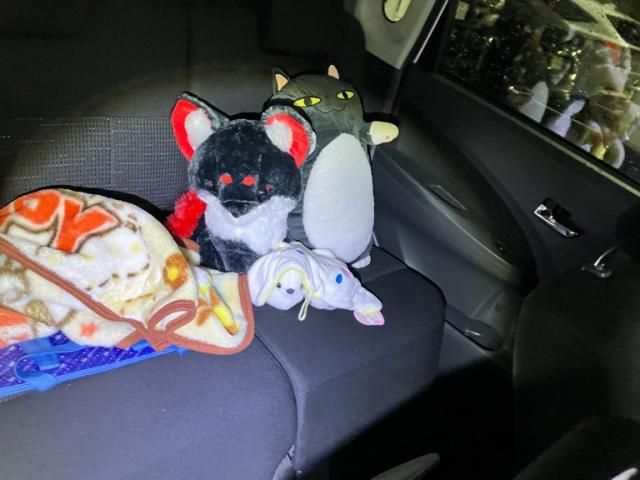 DAIHATSU MOVE CUSTOM 4WD 2013