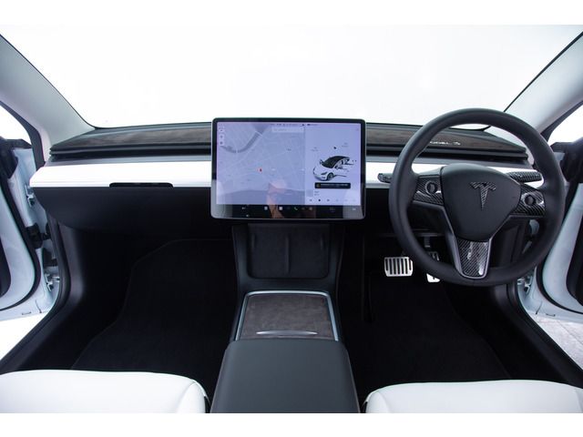 TESLA TESLA MODEL 3 2021