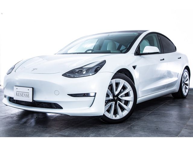 TESLA TESLA MODEL 3 2021
