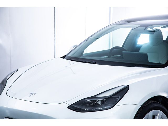 TESLA TESLA MODEL 3 2021