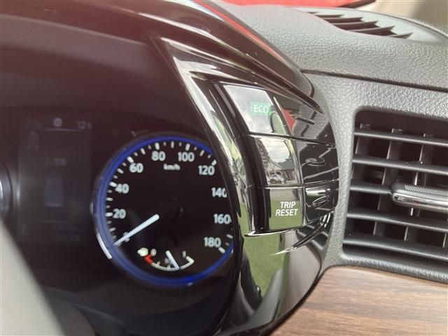 NISSAN ELGRAND  4WD 2023