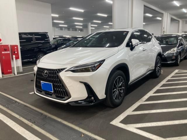 TOYOTA LEXUS NX250 2023