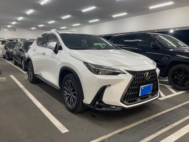 TOYOTA LEXUS NX250 2023