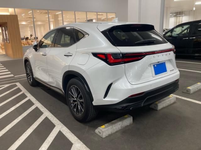 TOYOTA LEXUS NX250 2023
