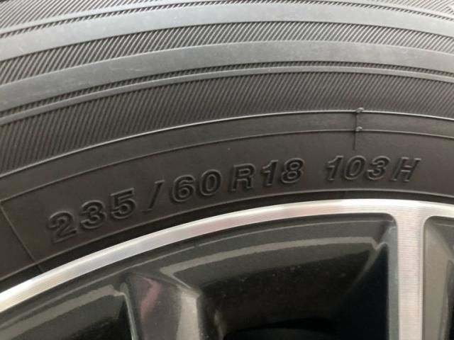 TOYOTA LEXUS NX250 2023