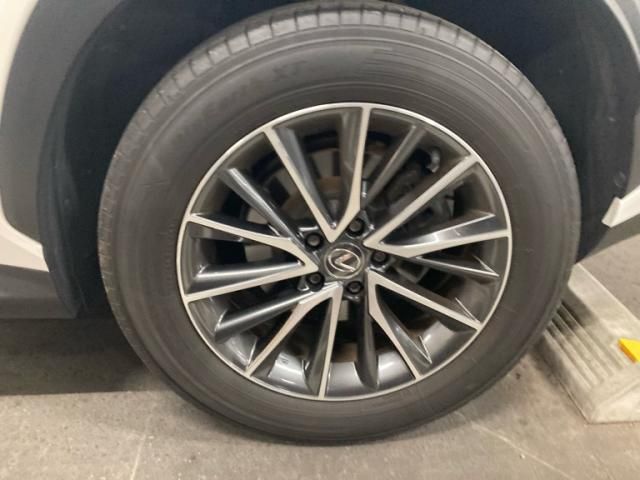 TOYOTA LEXUS NX250 2023