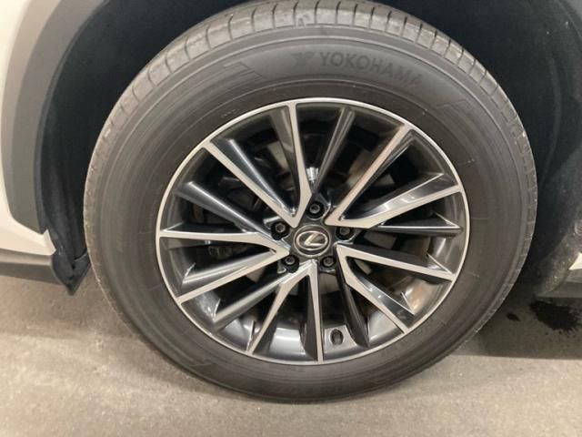 TOYOTA LEXUS NX250 2023