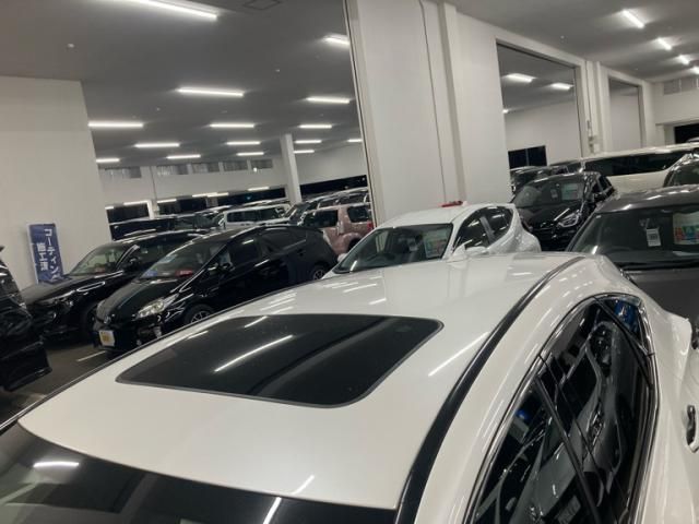 TOYOTA LEXUS NX250 2023