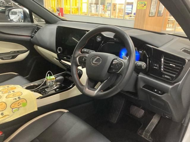 TOYOTA LEXUS NX250 2023