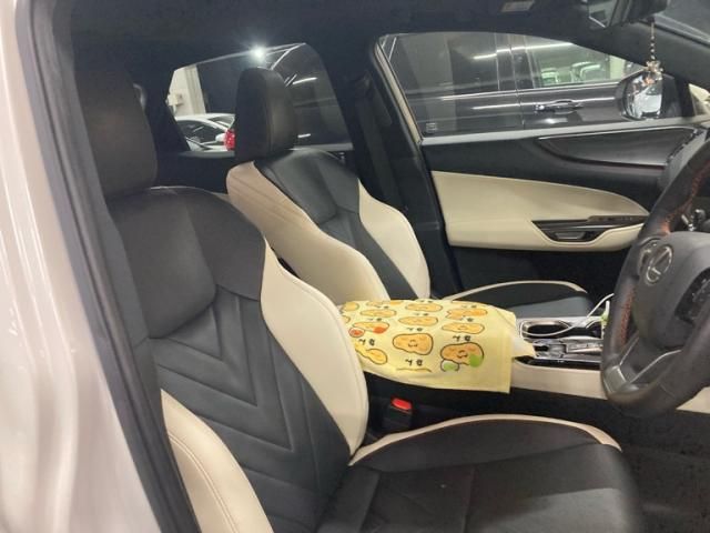 TOYOTA LEXUS NX250 2023