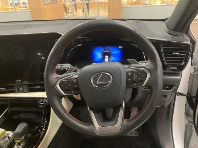 TOYOTA LEXUS NX250 2023