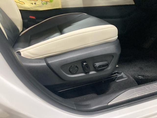 TOYOTA LEXUS NX250 2023