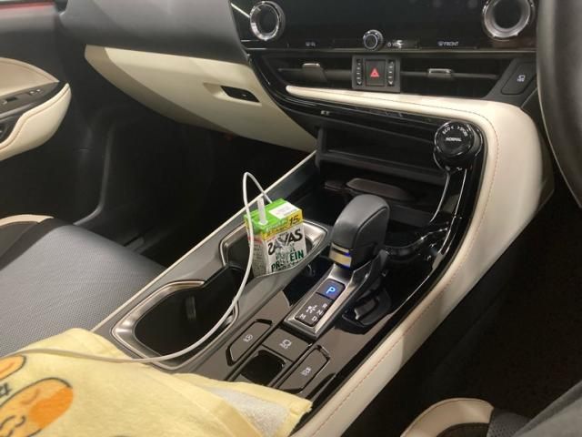 TOYOTA LEXUS NX250 2023