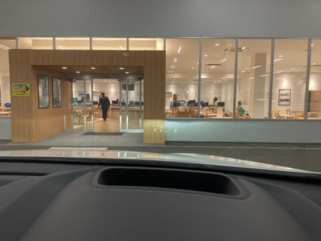 TOYOTA LEXUS NX250 2023